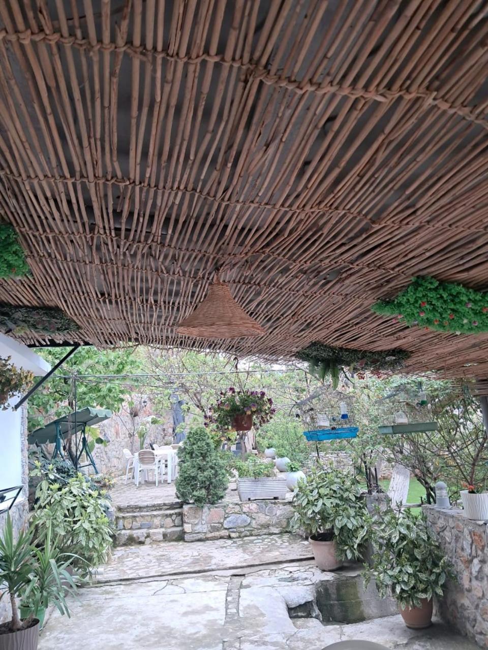Casa de Férias Roleo *